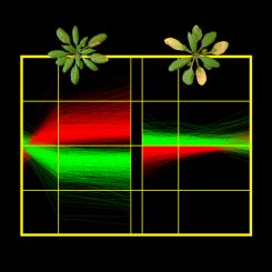 PLoS Pathogens Cover Image